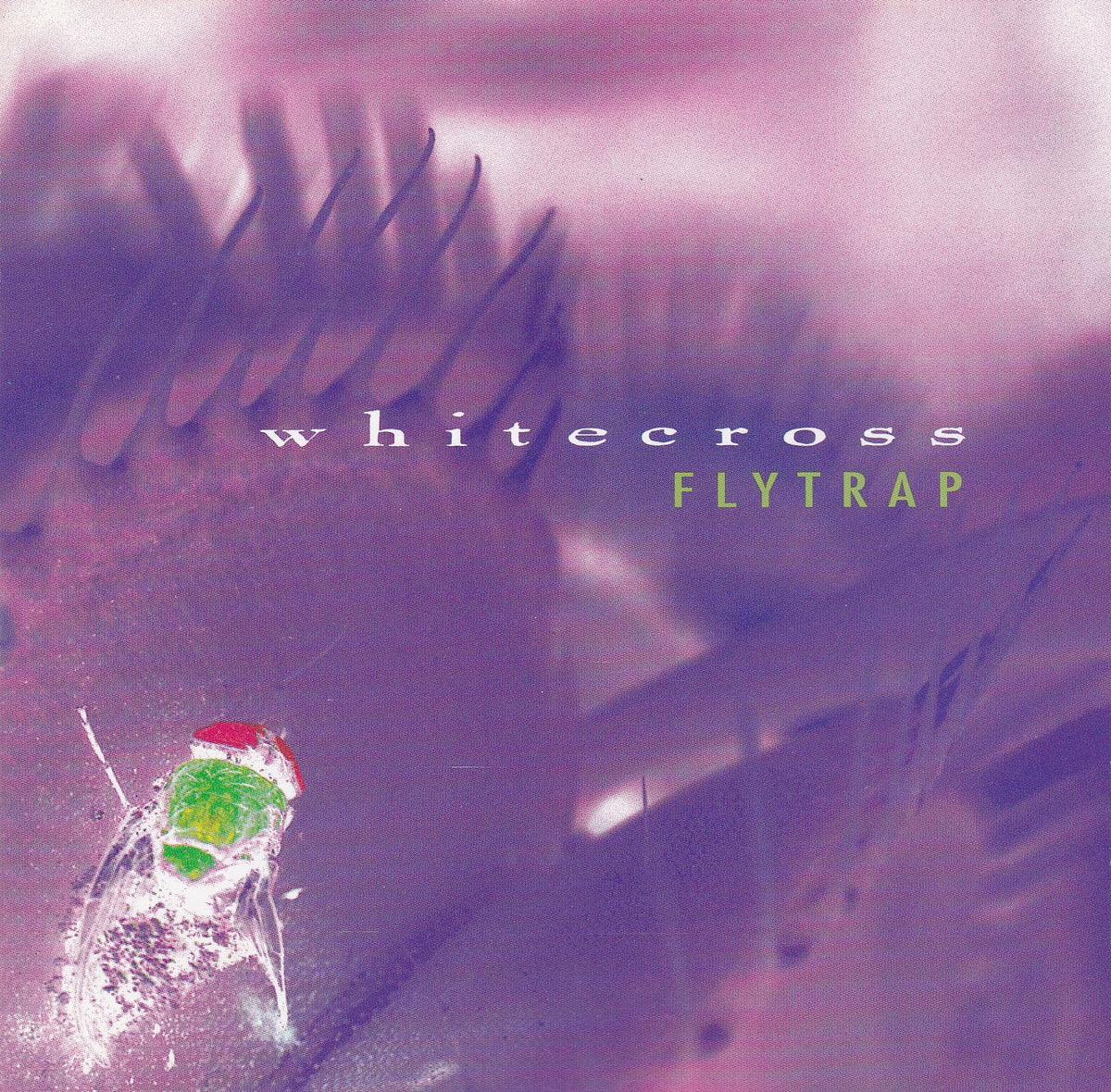 4658) 白竜のアルバム「POSITIVE」のCD WHITECROSS - FLYTRAP (*NEW-CD, 1996, R.E.X.) Produced by David