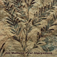 Jim Matheos - First Impressions (Green Vinyl, 2025, Brutal Planet) Fates Warning guitarist!
