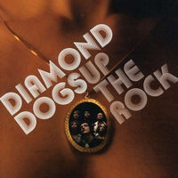 Diamond Dogs ‎– Up The Rock (*Pre-Owned CD, 2006, Locomotive) Classic rock!