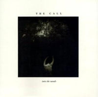 The Call ‎– Into The Woods (*Pre-Owned Vinyl, 1987, Elektra) elite alternative rock classic